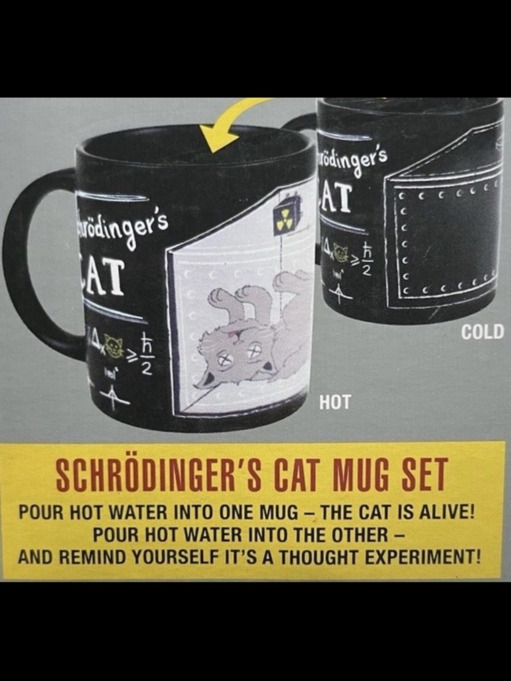 Schrödinger’s Cat Mug Set 
The Unemployed Philosophers Guild 
Like New - Picture 2 of 13